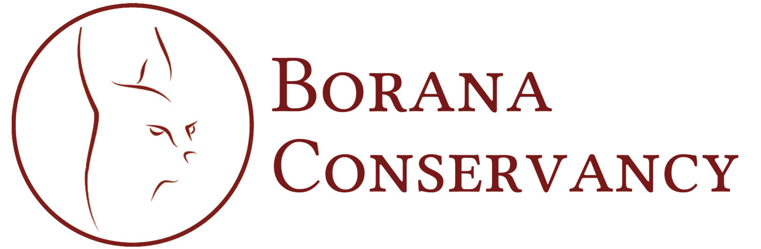 Conservancy+logo+III